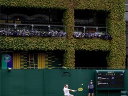 IMG_0779